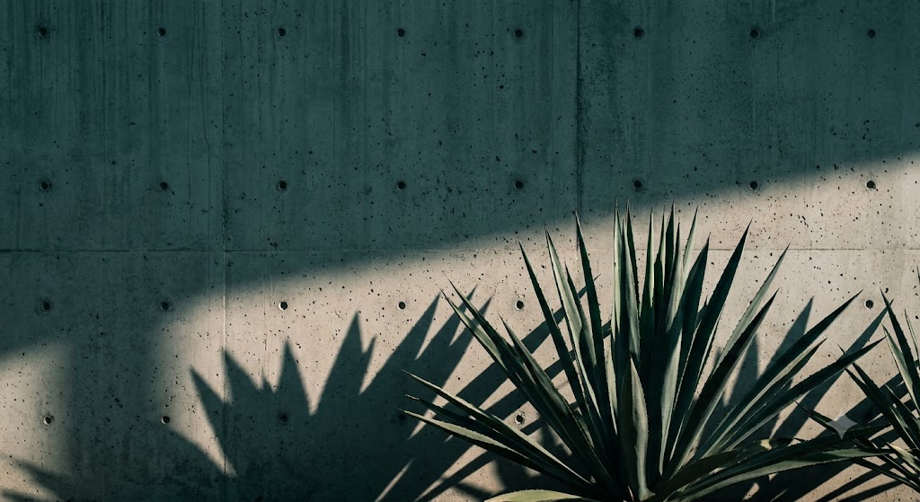 Nopal y muro de concreto — identidad Leyenda